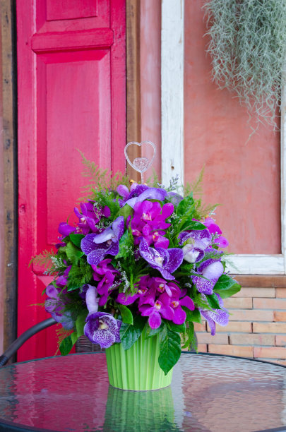 漂亮的一束鲜艳的兰花图片下载