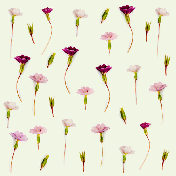 复古花墙纸图案图片下载