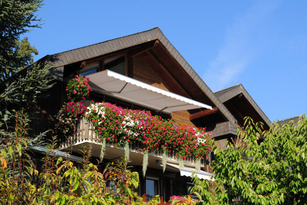 瑞士传统房屋- XLarge图片下载