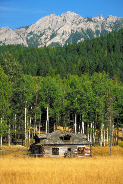 宅基地和落基山脉图片下载