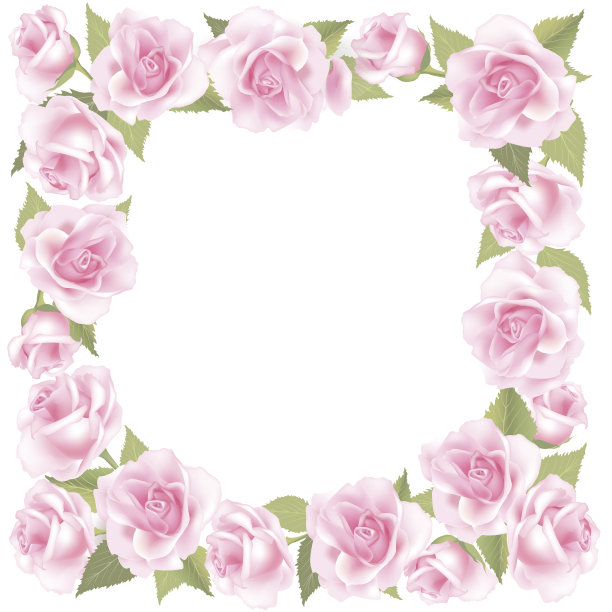 花玫瑰框架。春天花装饰。图片下载
