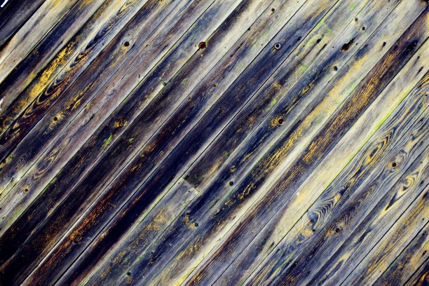 老木的背景图片下载