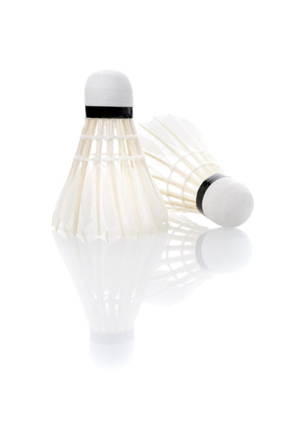 羽毛球图片下载