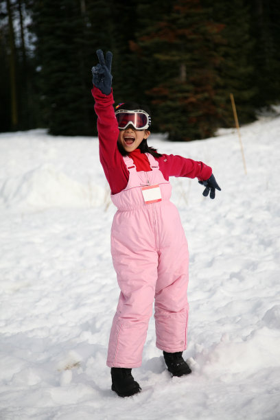 冬天的雪的乐趣图片下载