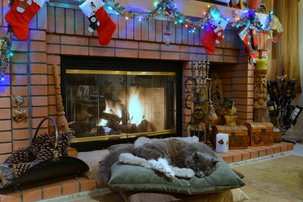 壁炉边睡着的猫图片下载