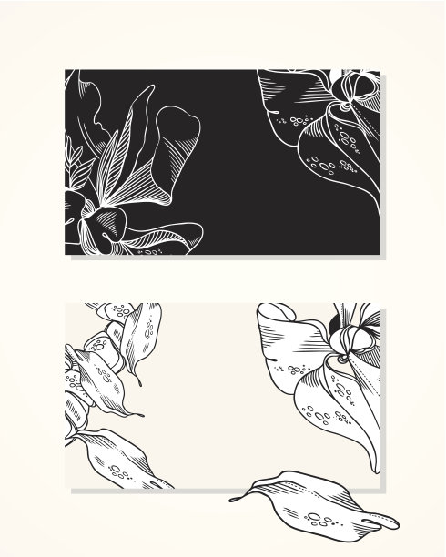 名片与黑白花-模板图片下载