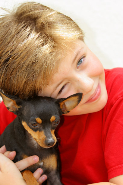 我爱我的宠物图片下载