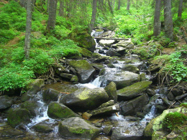 喀尔巴阡山脉的森林和山河图片下载