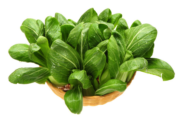 婴儿白菜图片下载