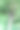 树的下面图片下载