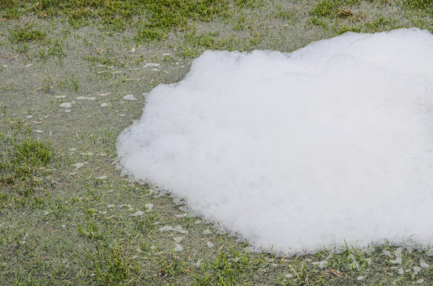 海绵和水图片下载