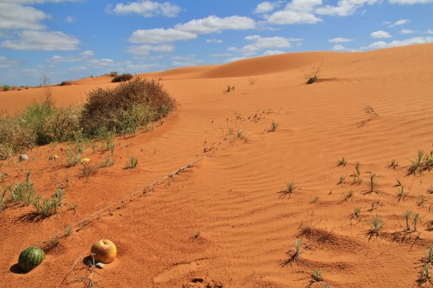 Perry Dandhills, Wentworth，新南威尔士州图片下载