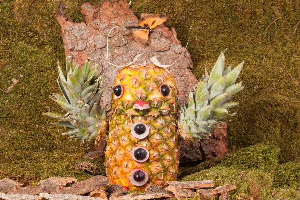 雕鹰猫头鹰取自凤梨森林，景观图片下载