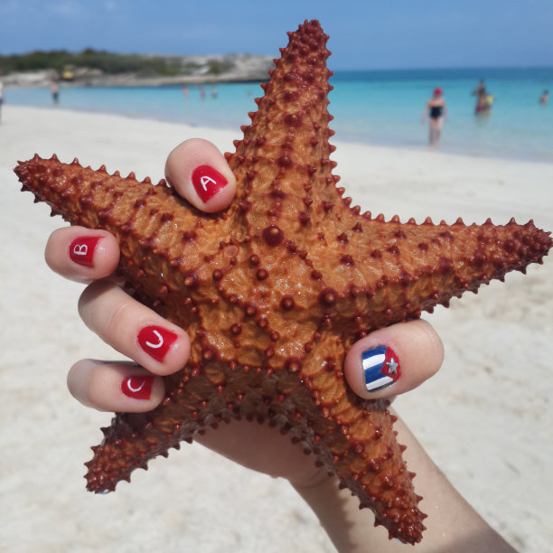 沙滩美甲和海星图片下载
