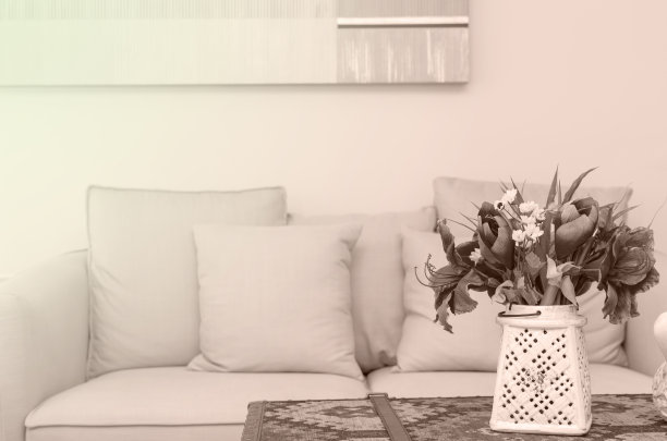 雪花花在豪华室内客厅图片下载