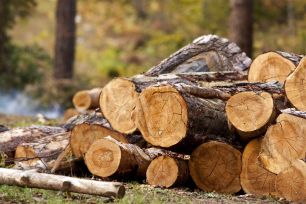 非法的切割图片下载