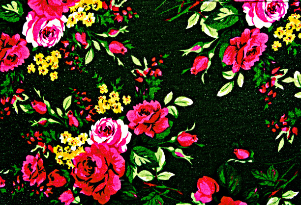 质地织物的玫瑰为背景图片下载