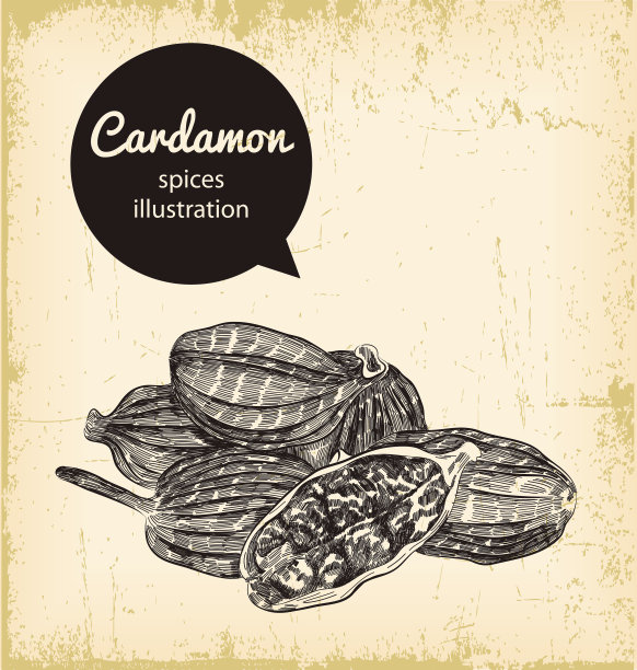 Ceylan小豆蔻图片下载