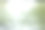 小麦图片下载