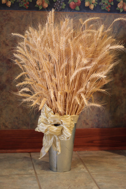 小麦捆在带宽缎带蝴蝶结的锡罐里图片下载