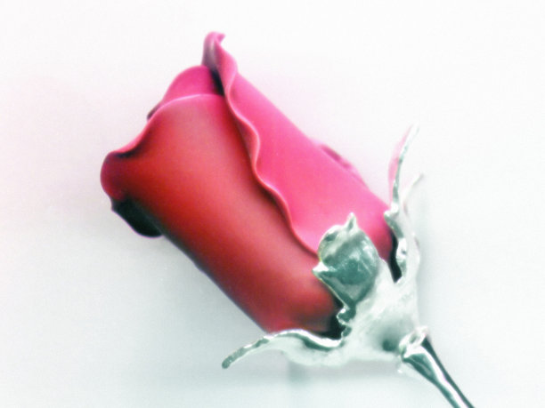 Chrome浏览器了图片下载