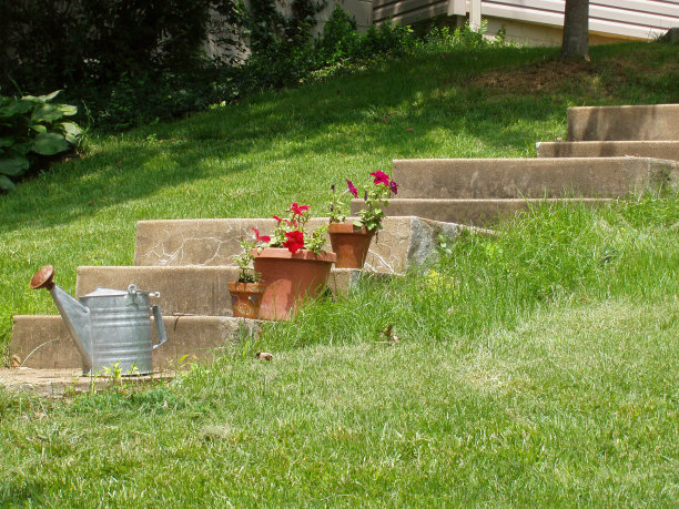 台阶，花和水苍白图片下载