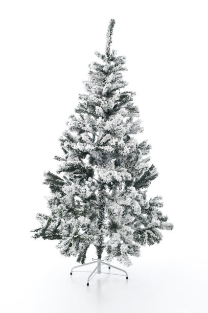 圣诞树图片下载