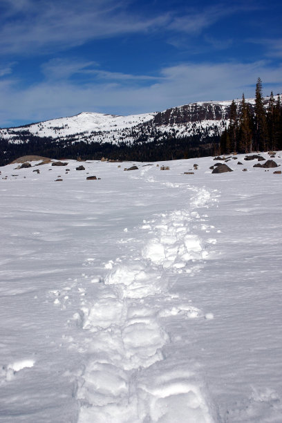 新鲜的雪鞋跟踪图片下载