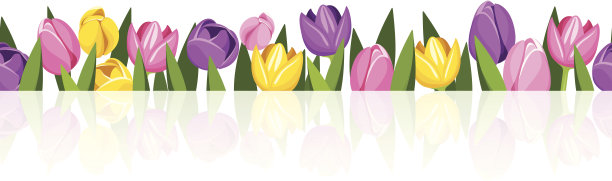 水平无缝背景与彩色郁金香。向量eps-10。图片下载