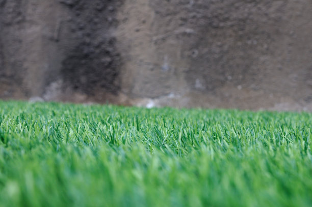 36、绿草配脏墙，人为。图片下载