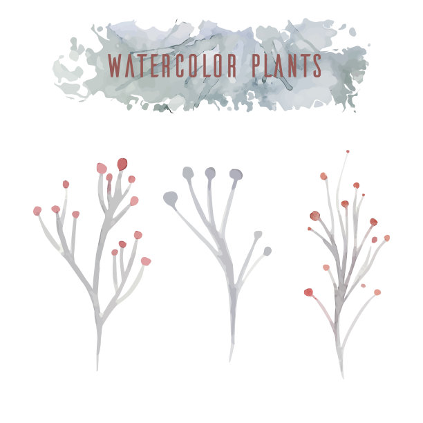 一套水彩花图片下载