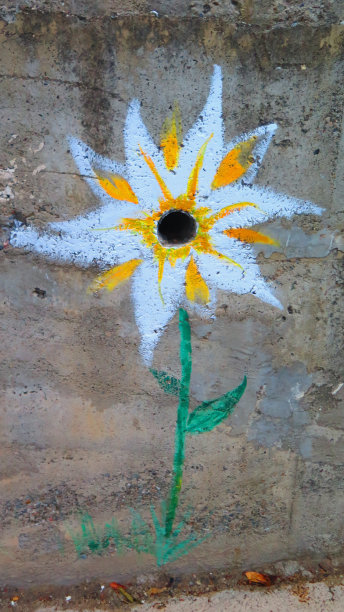 混凝土墙上画的花图片下载