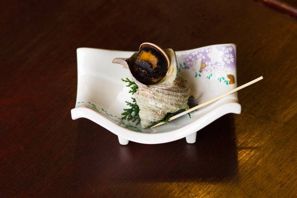 海螺-日本图片下载