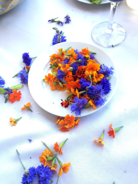 可食用的花朵图片下载