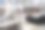 喂养的鸵鸟图片下载
