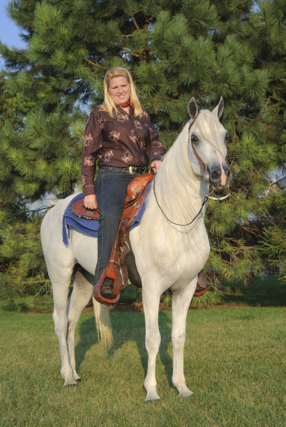 骑马的女人骑着黄昏的夏光，白色的阿拉伯马图片下载