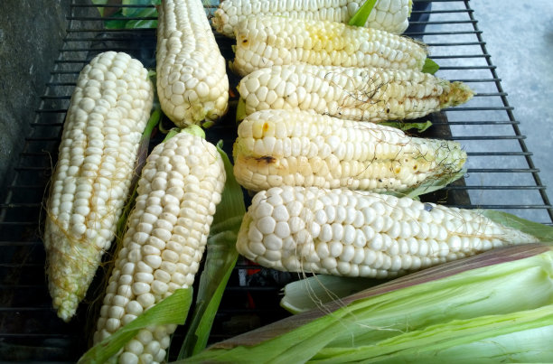 烤玉米图片下载