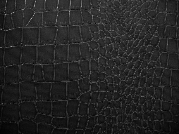 皮革的背景图片下载