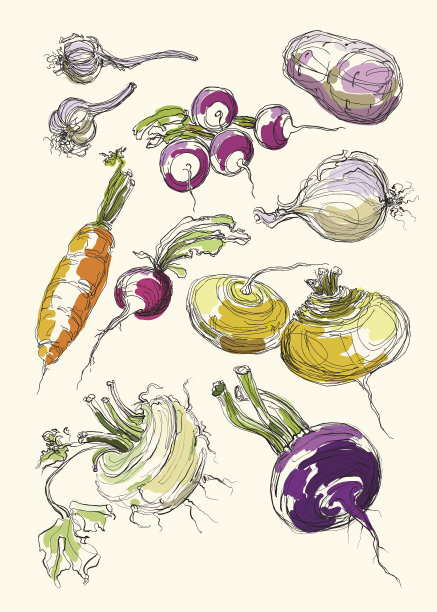 矢量插图蔬菜图片下载