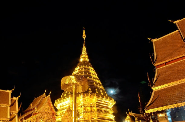 素贴的夜月图片下载