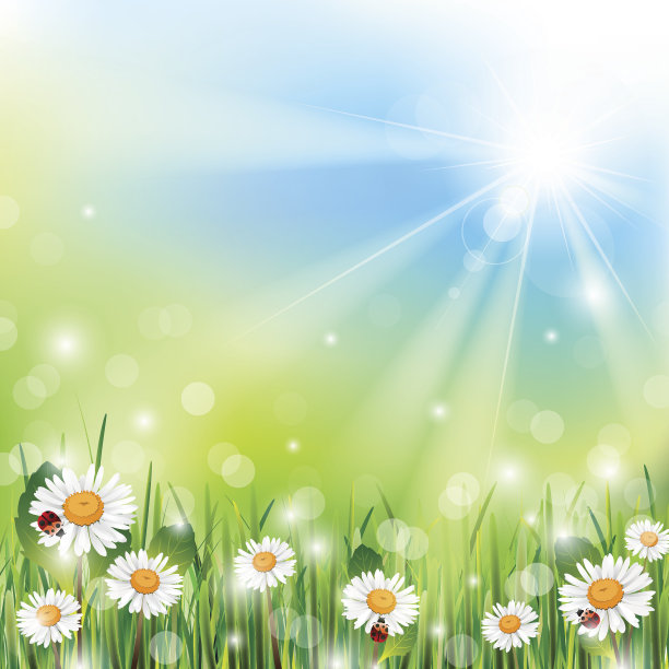 色彩柔和的春天插图与雏菊和光线的阳光图片下载
