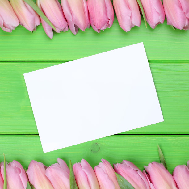 郁金香花与贺卡和copyspace图片下载