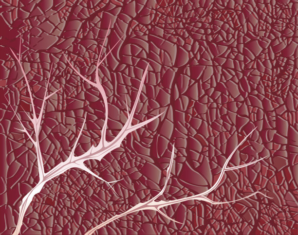 背景。生肉的质地。牛肉图片下载