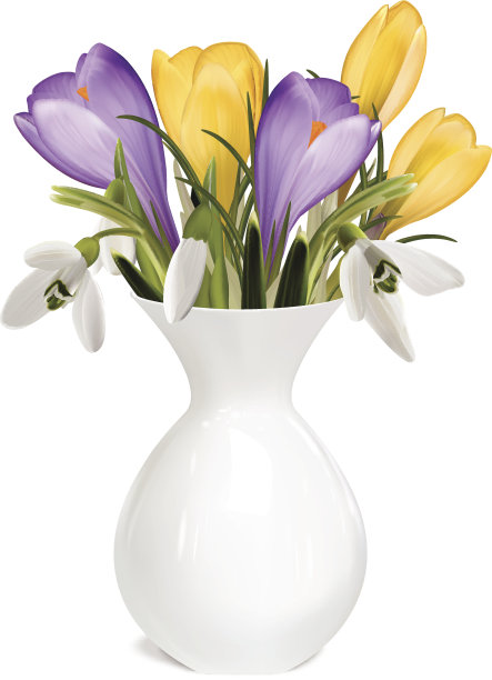 花瓶里有一束番红花和雪花莲图片下载