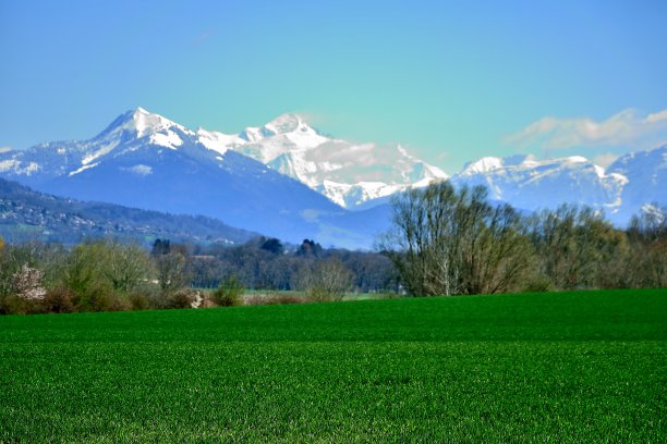 万宝龙图片下载