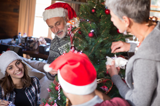 圣诞假期:家庭准备圣诞树图片下载