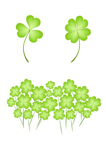插图的四叶三叶草在白色的背景图片下载
