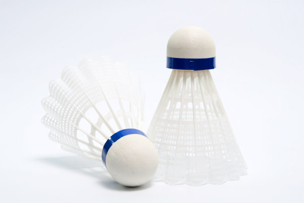 羽毛球图片下载