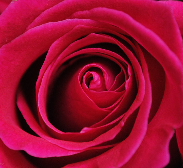 可爱的琳达图片下载