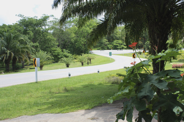 曲线柏油马路在国家公园图片下载